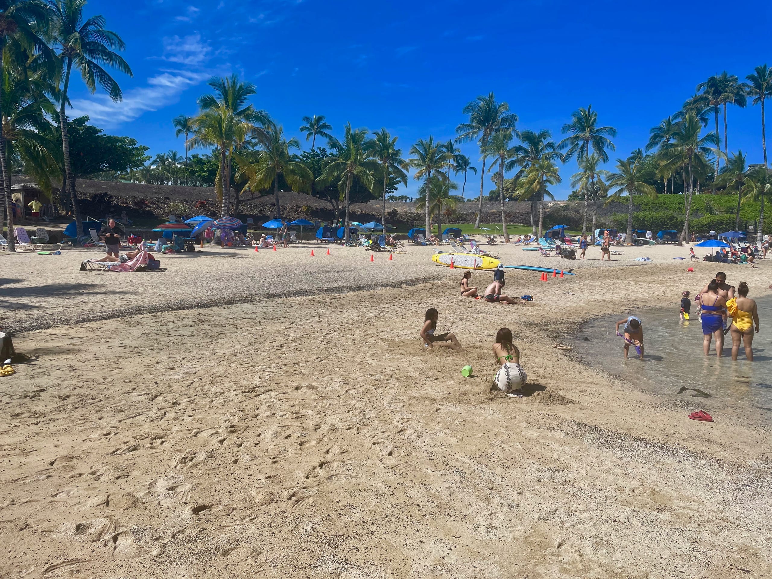 Condo in Waimea · ★5.0 · 3 bedrooms · 3 beds · 3 private baths - Image 50