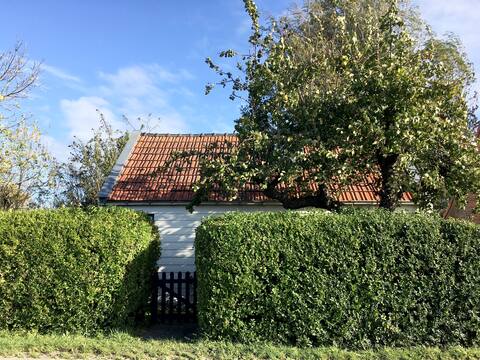 Popular Airbnb listing: Cozy dike house with charm in Wijk 08 Nieuwvliet
