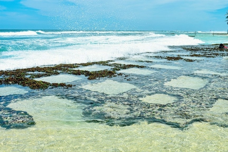 The image captures a serene beachfront scene where gentle waves meet a clear shoreline. The water reveals sandy patches interspersed with seaweed and rocks, creating a natural mosaic effect. Bright sunlight enhances the colors of the water, emphasizing its clarity and tranquility.