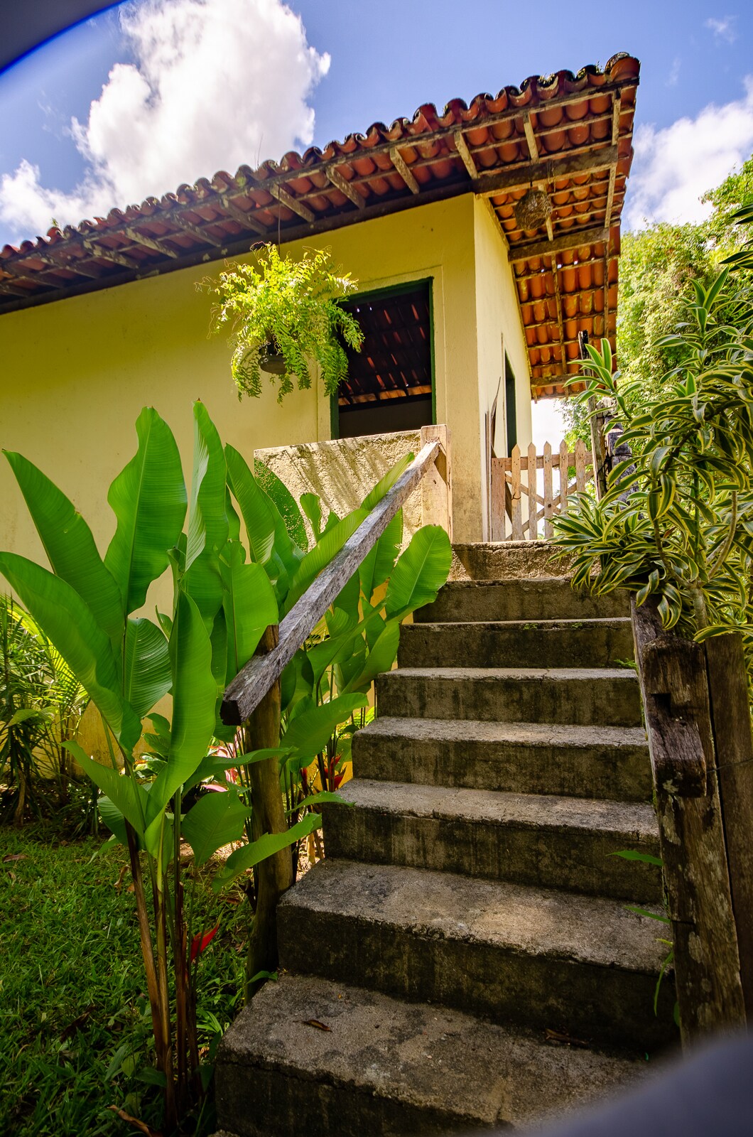 A set of stone steps leads up to an entrance of a building, surrounded by lush greenery. A potted fern hangs from the roof, while large tropical plants frame the scene, enhancing the rural charm of the property.
