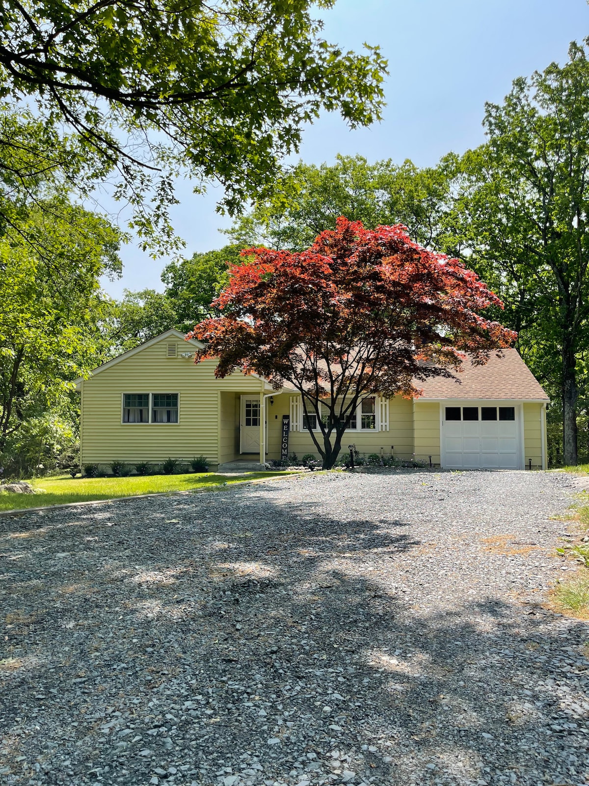 A charming yellow cottage is framed by lush green trees and a vibrant red maple. The gravel driveway leads to a garage, while the front porch is subtly adorned with greenery, creating a welcoming entrance surrounded by nature.