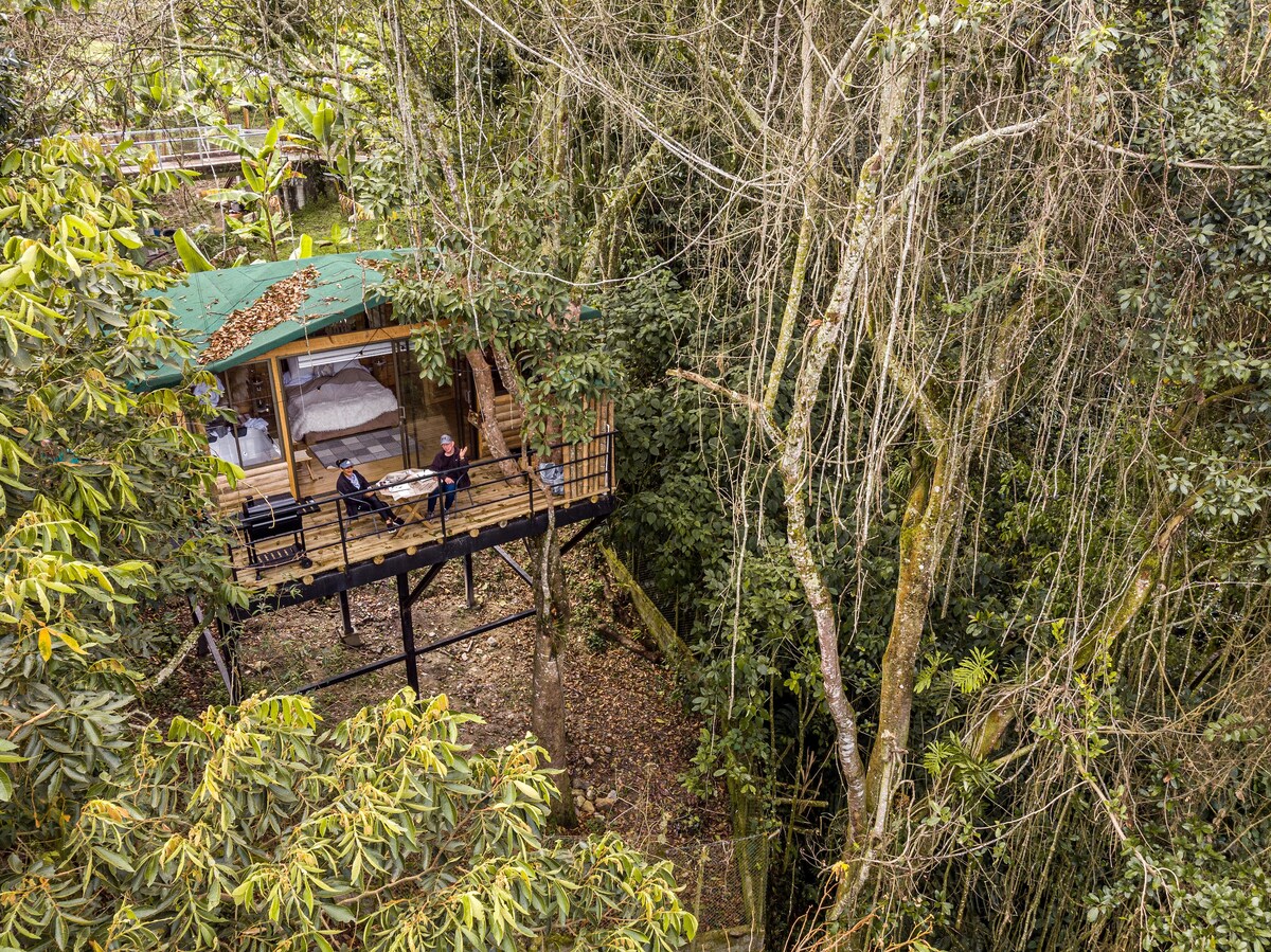 A treehouse-style glamping accommodation is nestled among lush greenery, featuring a wooden deck that overlooks the surrounding forest. Two outdoor chairs are positioned on the deck, providing a serene space to enjoy nature. Large windows allow natural light to fill the interior.