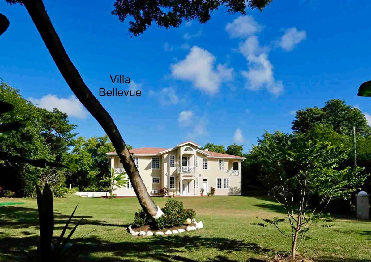 The image depicts a large, two-story villa surrounded by lush greenery and a well-maintained lawn. Bright blue skies and scattered clouds provide a vibrant backdrop, with a tree leaning gracefully towards the villa, which is elegantly framed by various plants.