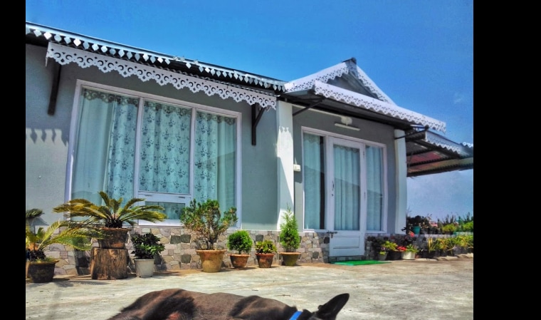 The exterior of the home displays a light-colored facade with decorative trim. Potted plants are arranged around the entrance, and large windows are covered with sheer curtains. A spacious patio showcases outdoor space with views of the surrounding landscape.