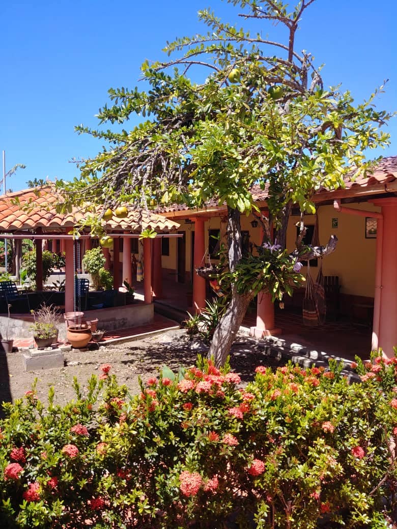 A charming colonial house is surrounded by vibrant greenery and flowering plants. The structure features terracotta roof tiles and columns, creating a welcoming atmosphere. Sunlight casts a warm glow on the exterior, highlighting the inviting outdoor spaces and lush landscape.