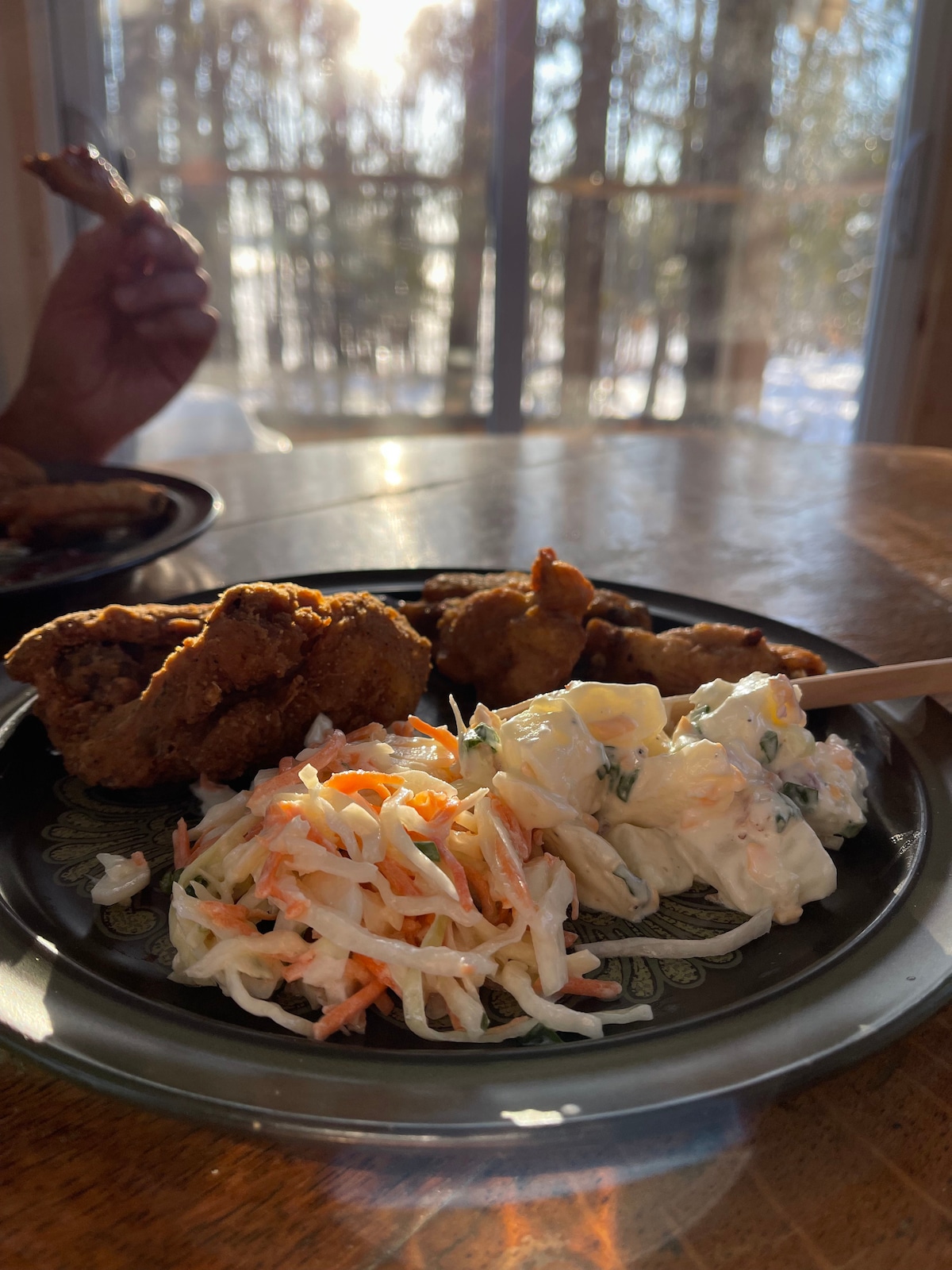 A close-up view of a plate displaying golden fried chicken alongside a serving of coleslaw and potato salad. Sunlight filters through trees in the background, creating a warm atmosphere. A hand can be seen holding a piece of chicken, emphasizing a casual dining experience.