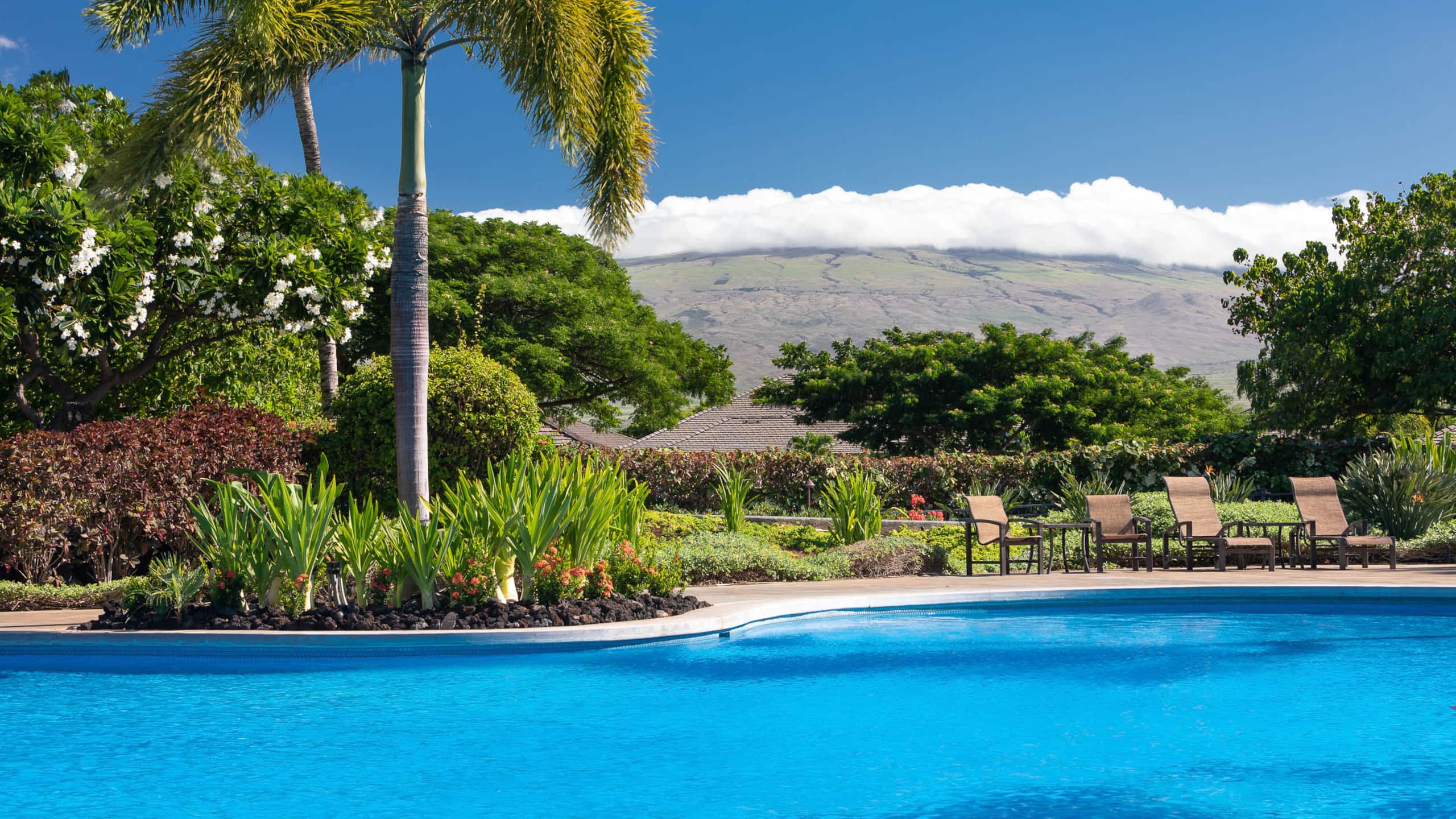Townhouse in Waimea · ★4.83 · 3 bedrooms · 2 beds · 2.5 private baths - Image 35