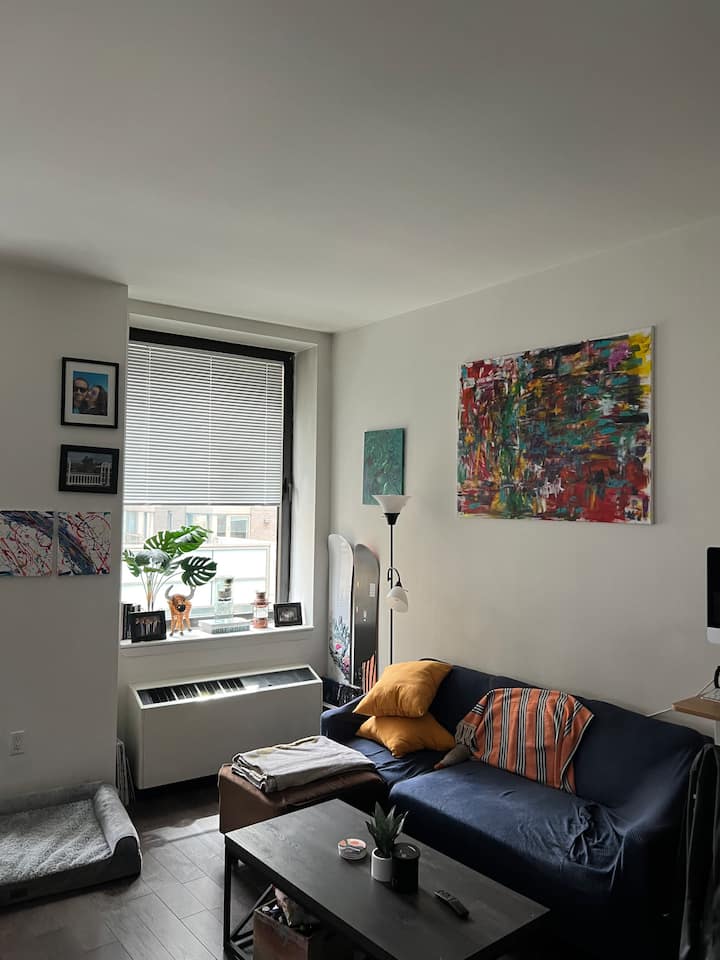 Large 1 Bedroom next to Seaport/FiDi Apartments for Rent in New York, New York, United States