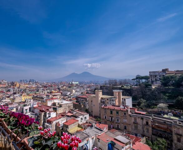 Casa Sofia Apt gallery image 3