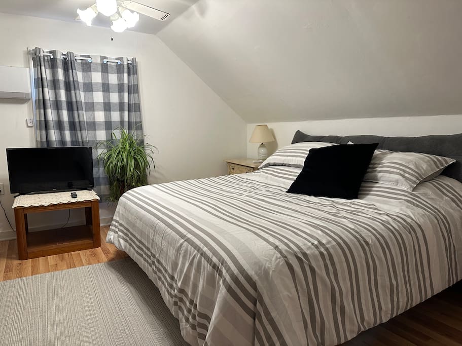 A spacious private room with a king & a single bed