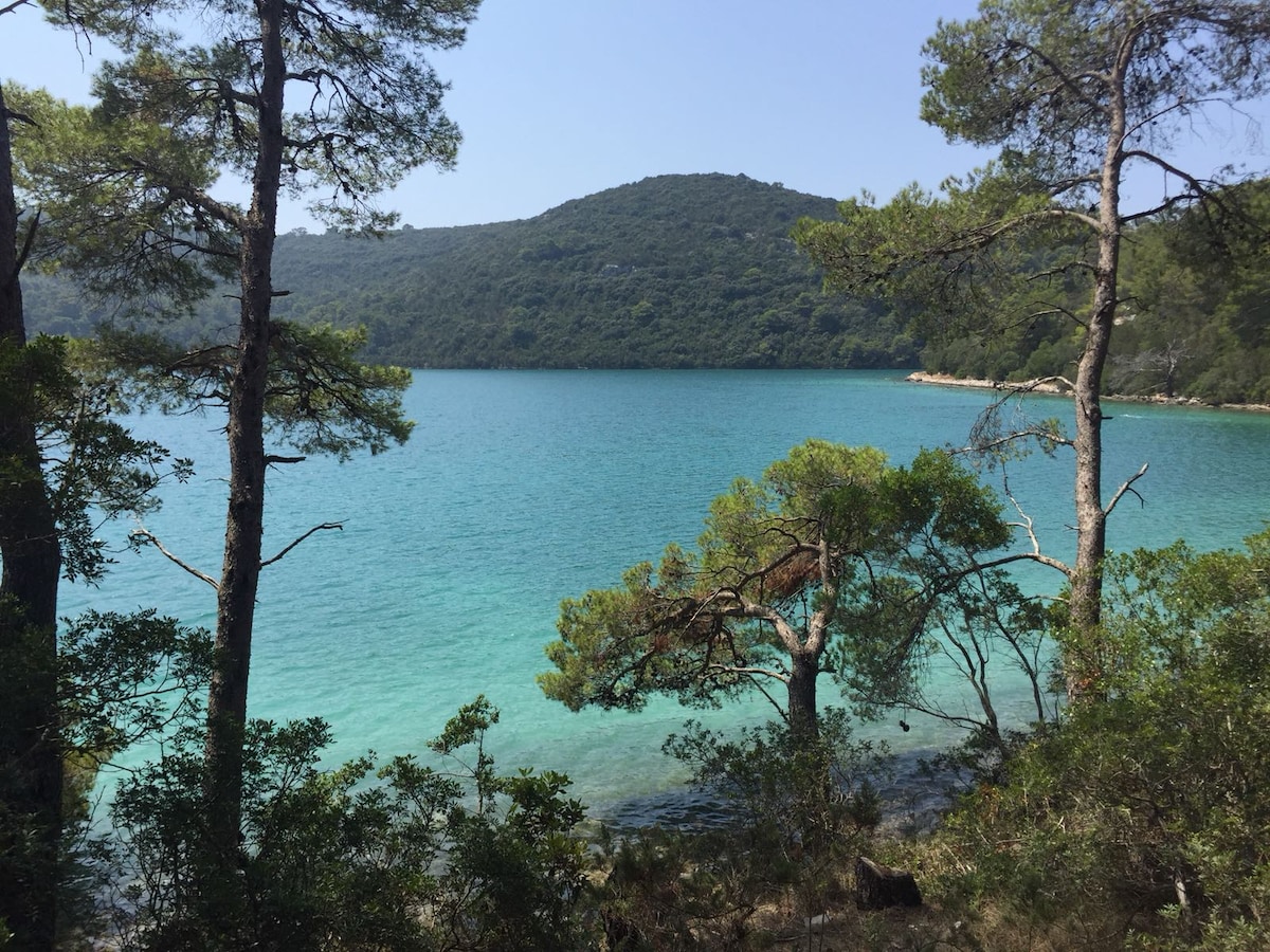 A serene coastal scene features clear turquoise waters framed by lush greenery. Trees are positioned along the shoreline, contrasting with the vibrant water and distant hilly landscape, creating a natural and peaceful ambiance.