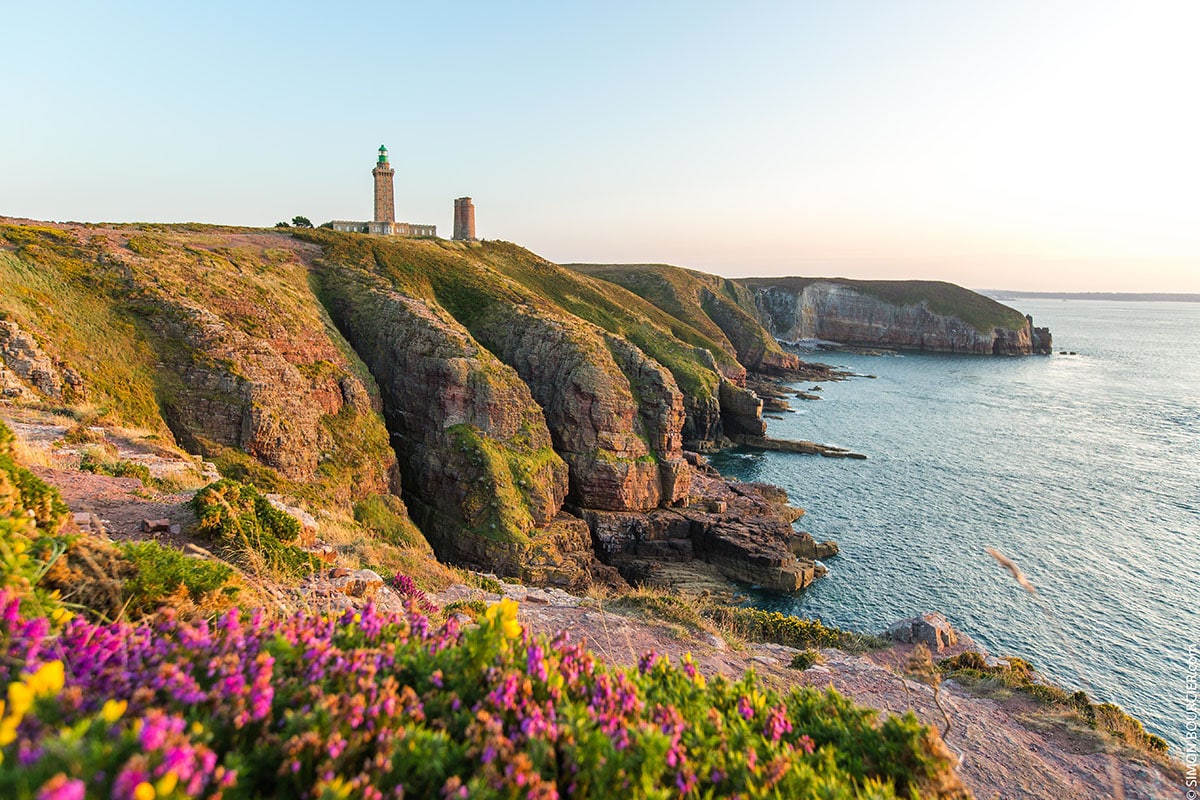 Cliffs rise dramatically above the sea, framed by colorful wildflowers in the foreground. A lighthouse stands on the rocky outcrop, reflecting the soft light of dusk. The coastline stretches into the distance, revealing a calm ocean that meets the horizon.