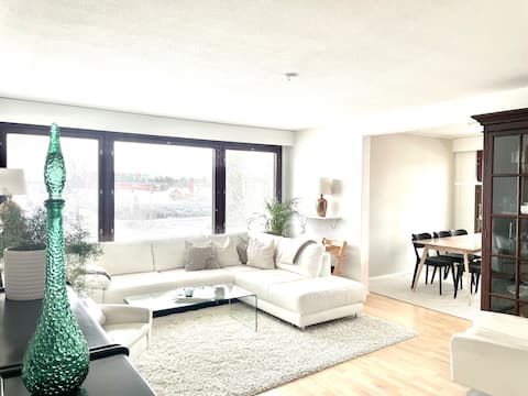 Big luxury apartment over Forssa rooftops