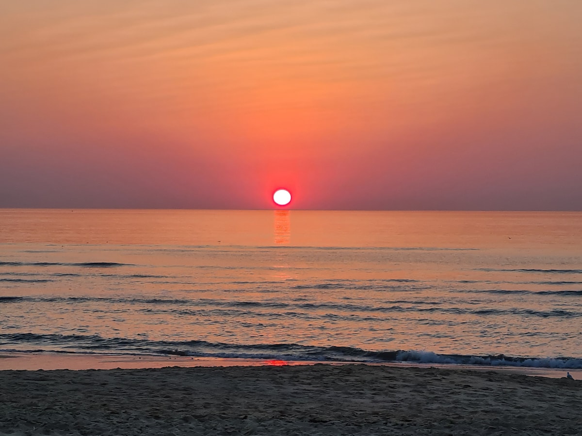 A serene view of the setting sun over calm waters, with soft hues of orange and pink dominating the sky. The ocean reflects the warm colors, creating a tranquil atmosphere. Gentle waves can be seen lapping at the sandy shore in the foreground.