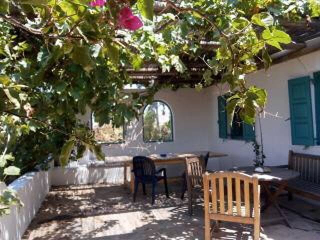 Villa Cassandra gallery image 3