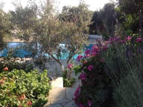 Villa Cassandra
