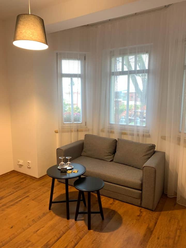 2-lůžkový Pokoj 101 - Pension Family - Karlovy Vary