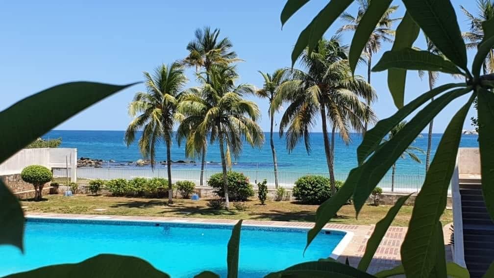 Palm trees line the shoreline, offering shade to the tranquil beach that gently meets the ocean. A clear pool is visible in the foreground, surrounded by lush greenery, while the expansive sea stretches towards the horizon under a bright blue sky.
