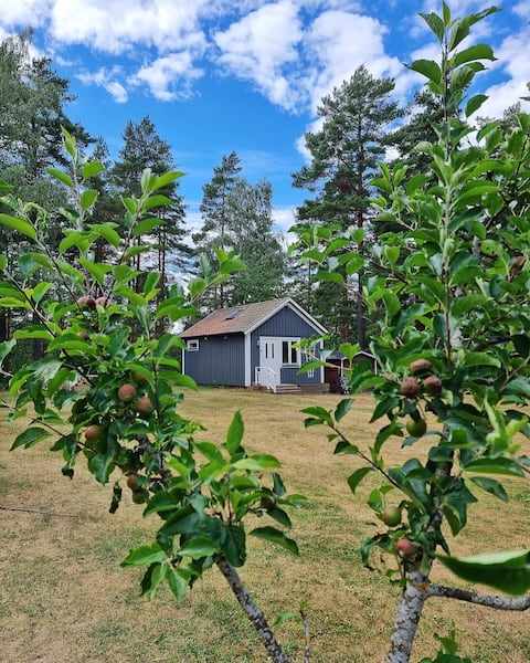 Top Airbnb: Stuga Småland in Vimmerby