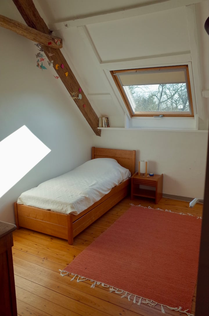 Una habitación con 2 camas individuales