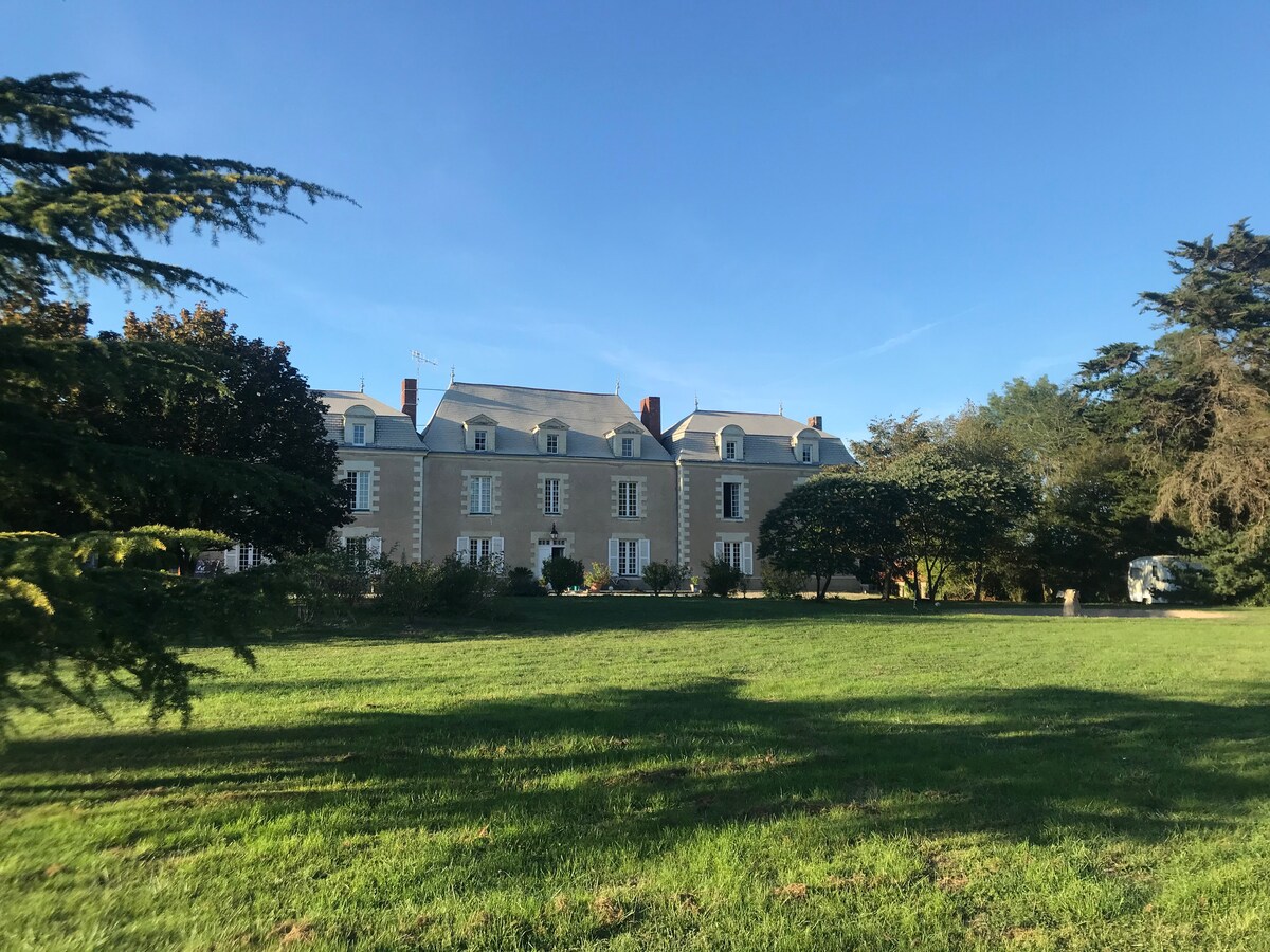 The elegant chateau is framed by manicured lawns and mature trees, displaying a classic architecture with multiple windows. A clear blue sky serves as a backdrop, emphasizing the serene setting of the expansive grounds.