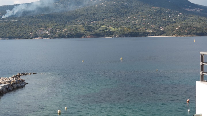 Appartement Les Pieds Dans L'eau - Propriano