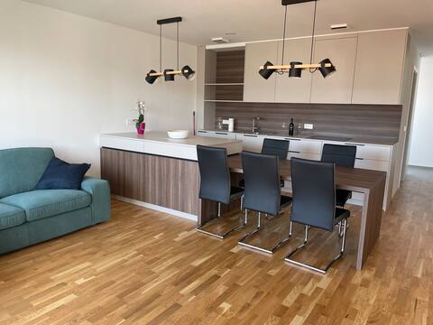 Modern Stylish apartment Mica