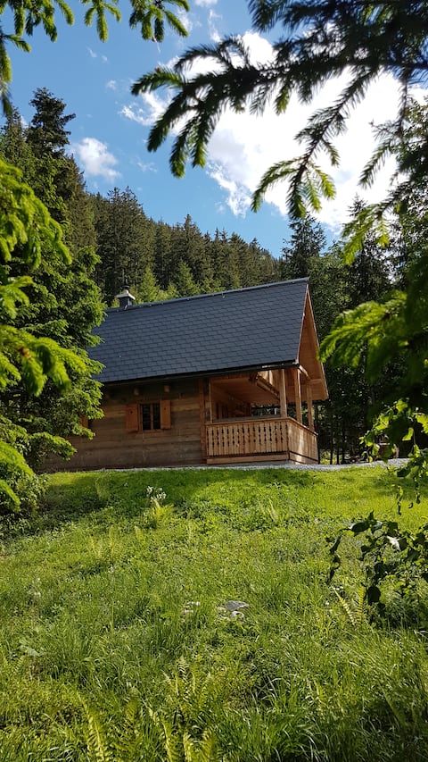 Cabin in the mountain forest