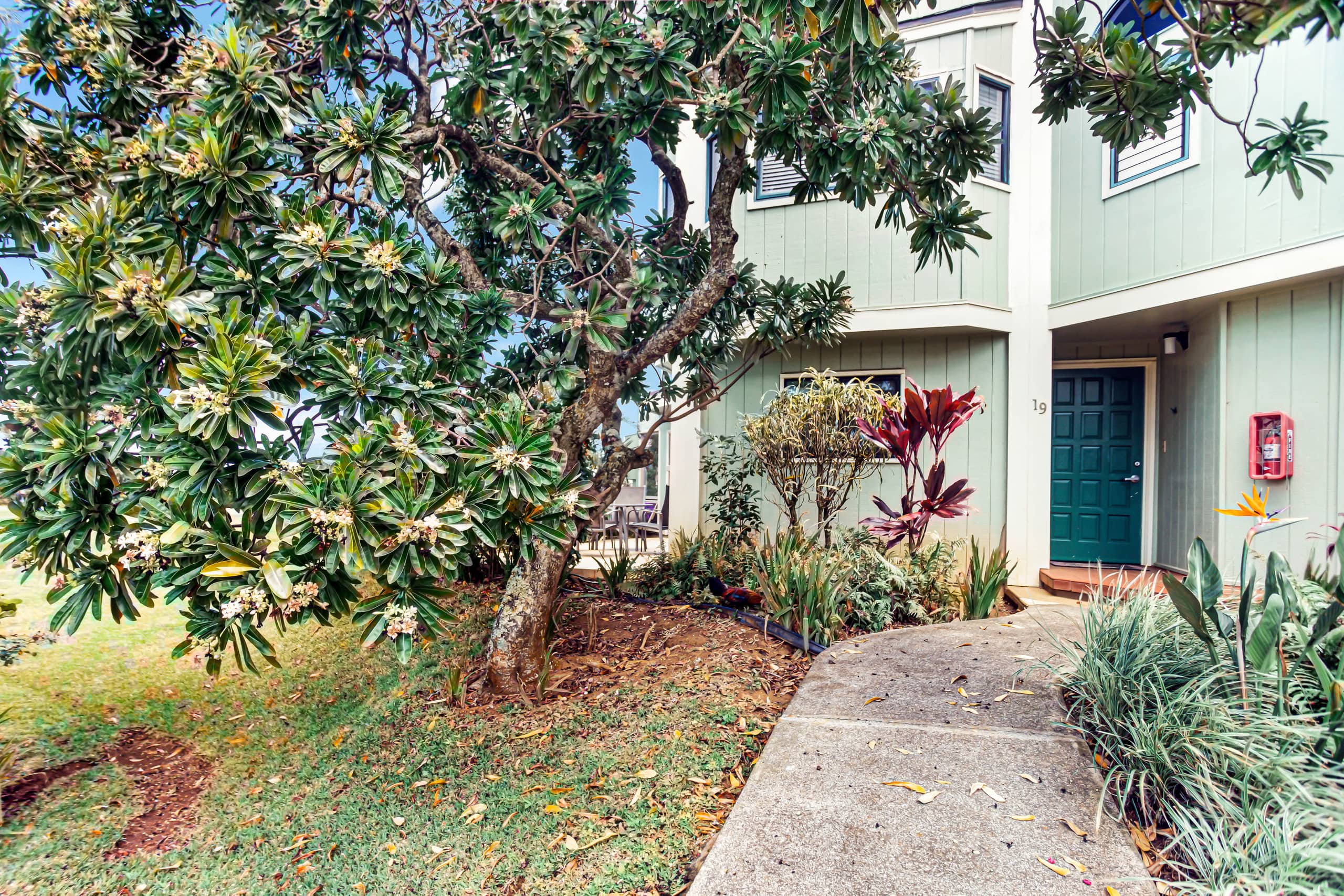 Peaceful 2bed 2bath, newly renovated, ocean views - Photo 5