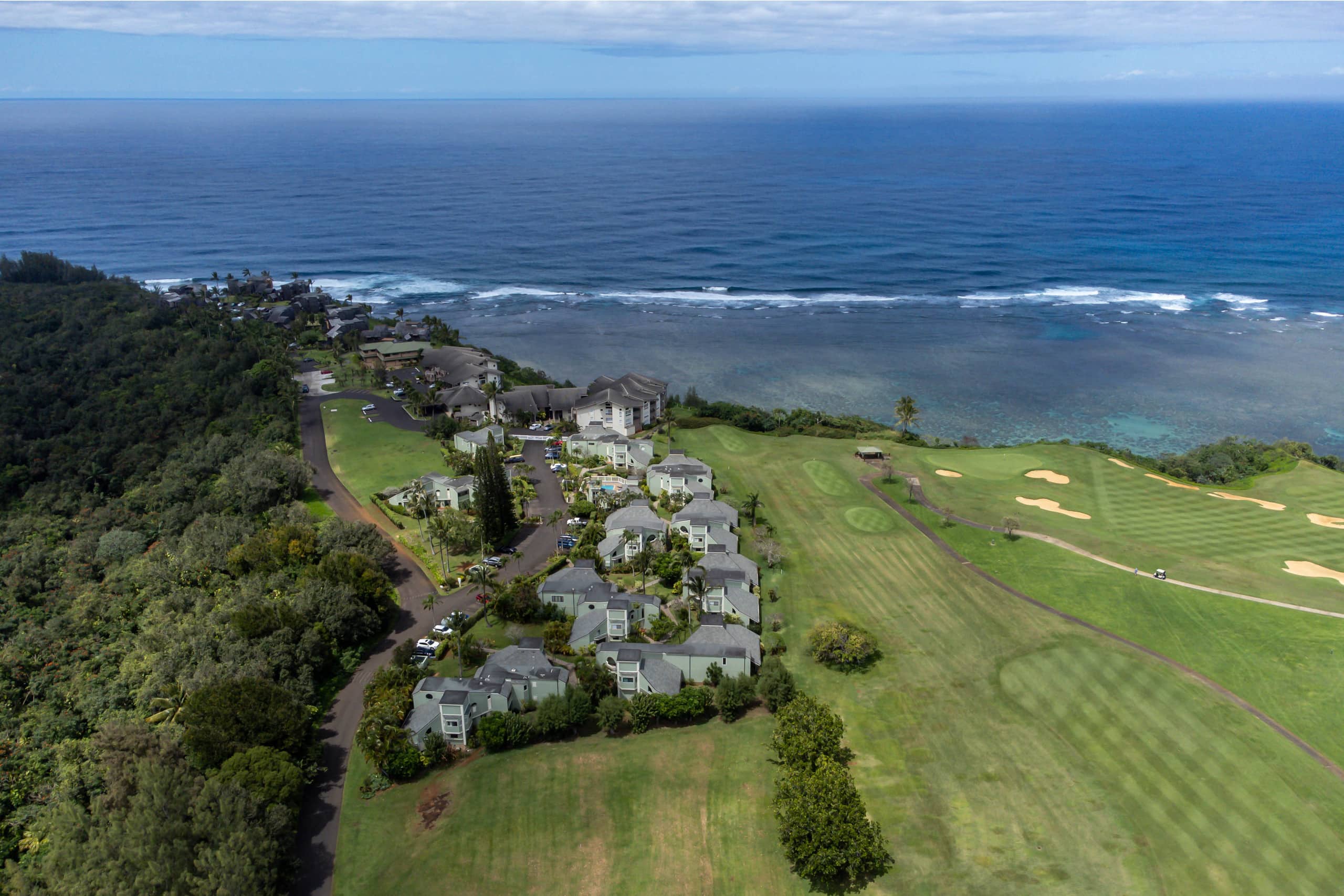 Peaceful 2bed 2bath, newly renovated, ocean views - Photo 8