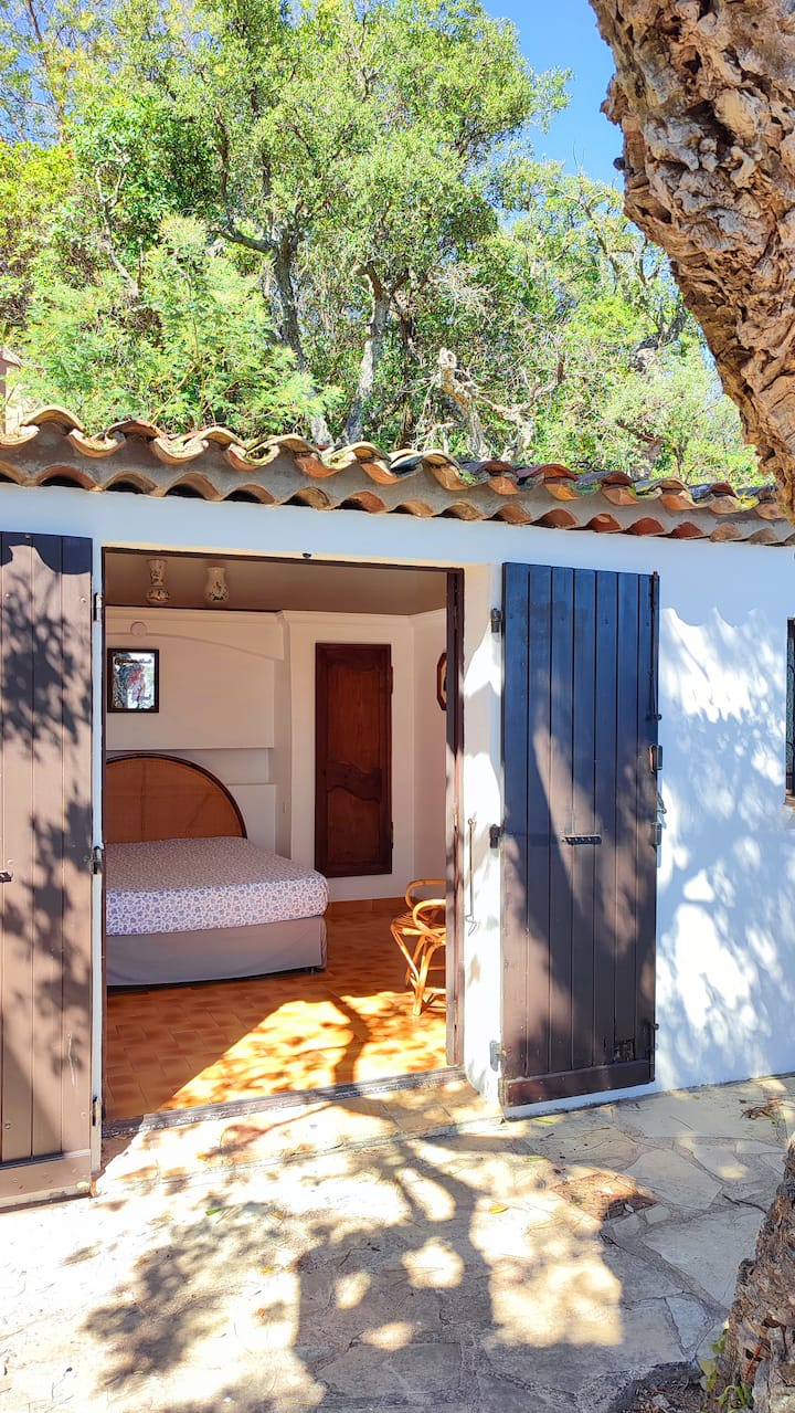 Baraza (studio), mtaro wa kujitegemea wa kuning 'inia 