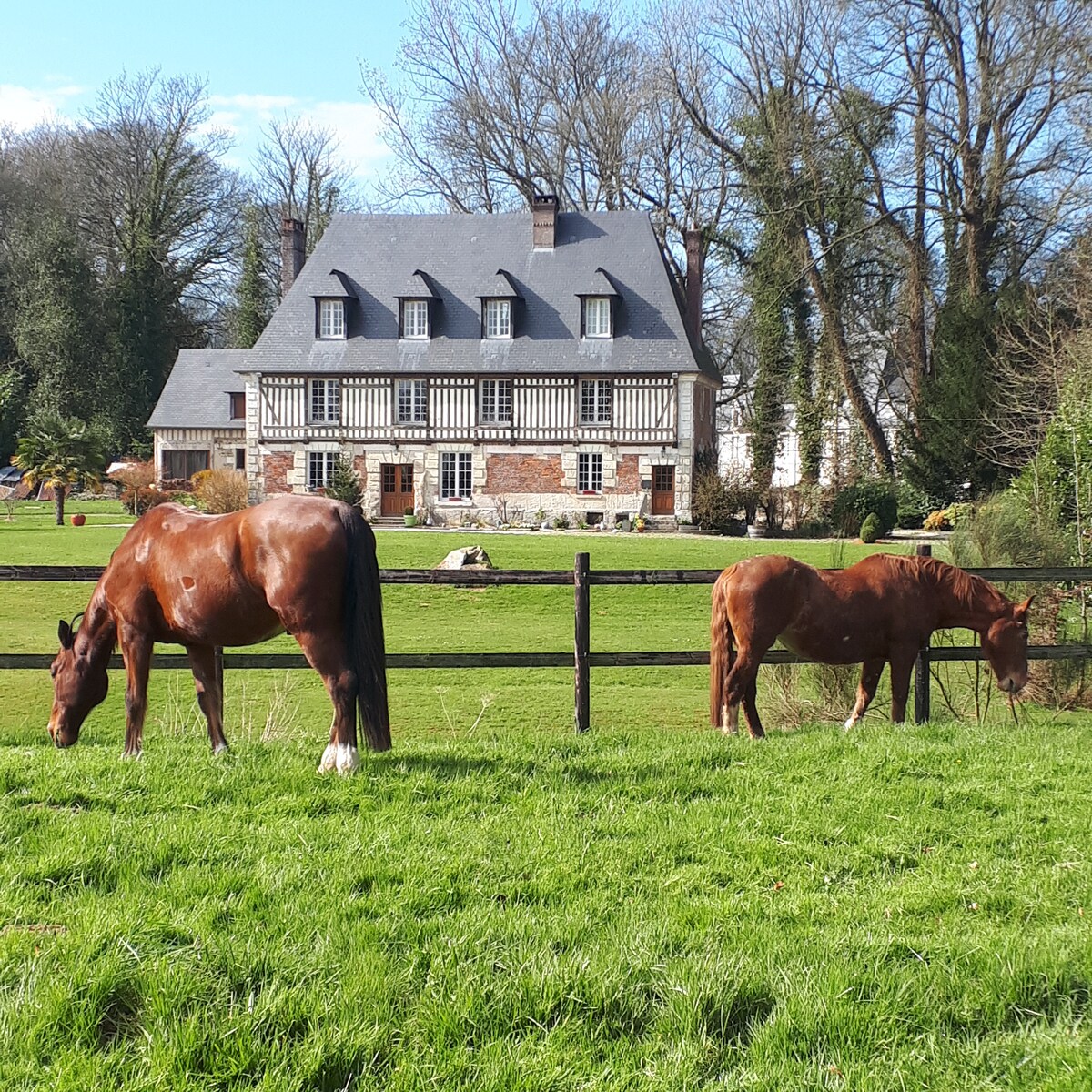 Two horses graze peacefully in a lush green field, framed by a wooden fence. In the background, a charming 16th-century manor house with a grey roof and timber-framed design is surrounded by trees, showcasing a serene rural setting.