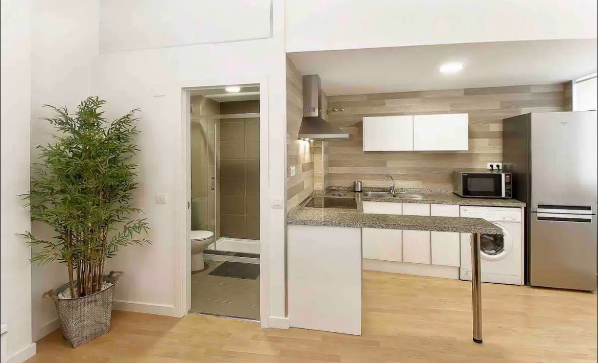 The kitchen area features modern appliances including a refrigerator, microwave, and washing machine, with a sleek stone countertop extending into a small dining space. Light wood flooring complements the minimalist design, while a lively potted plant adds a touch of greenery.