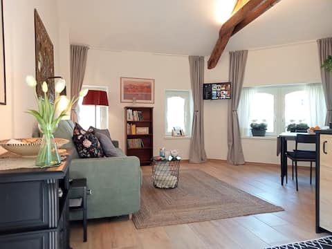 Top Airbnb: Historic house with beams, terrace and parking in Varese