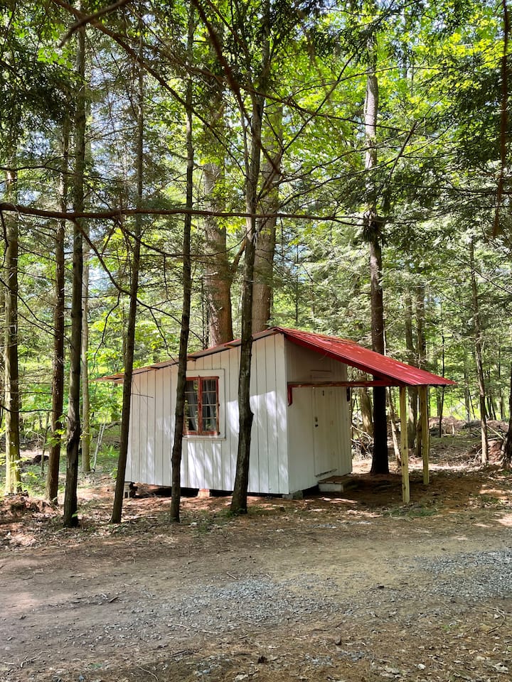Maple Cabin a cozy rustic escape in nature Cabins for Rent in
