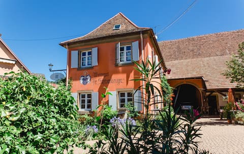 Top Airbnb: Front house (in the vineyard) in Breisgau Hochschwarzwald