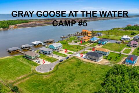Gray Goose at the Water