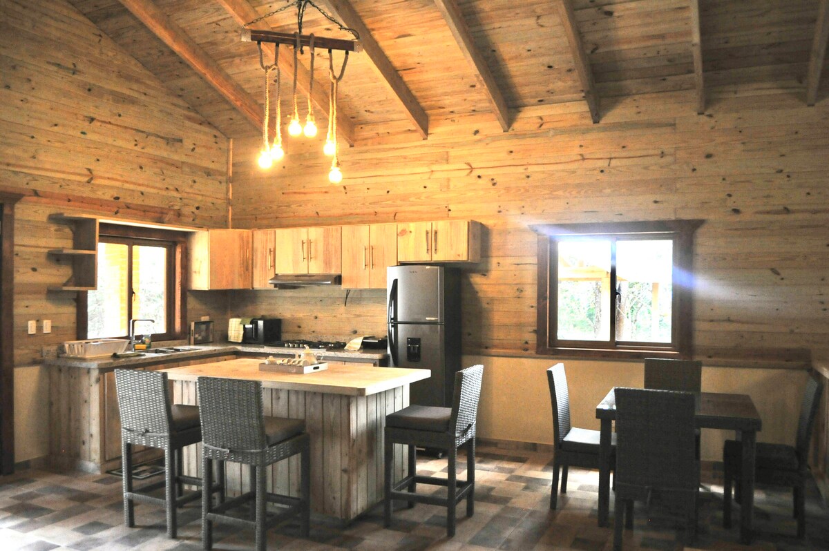 A modern kitchen showcases wooden walls and vaulted ceilings, illuminated by overhead light fixtures. A dining area with four chairs complements an island countertop, which contains an integrated stovetop. Large windows provide natural light and a view of the surrounding nature.