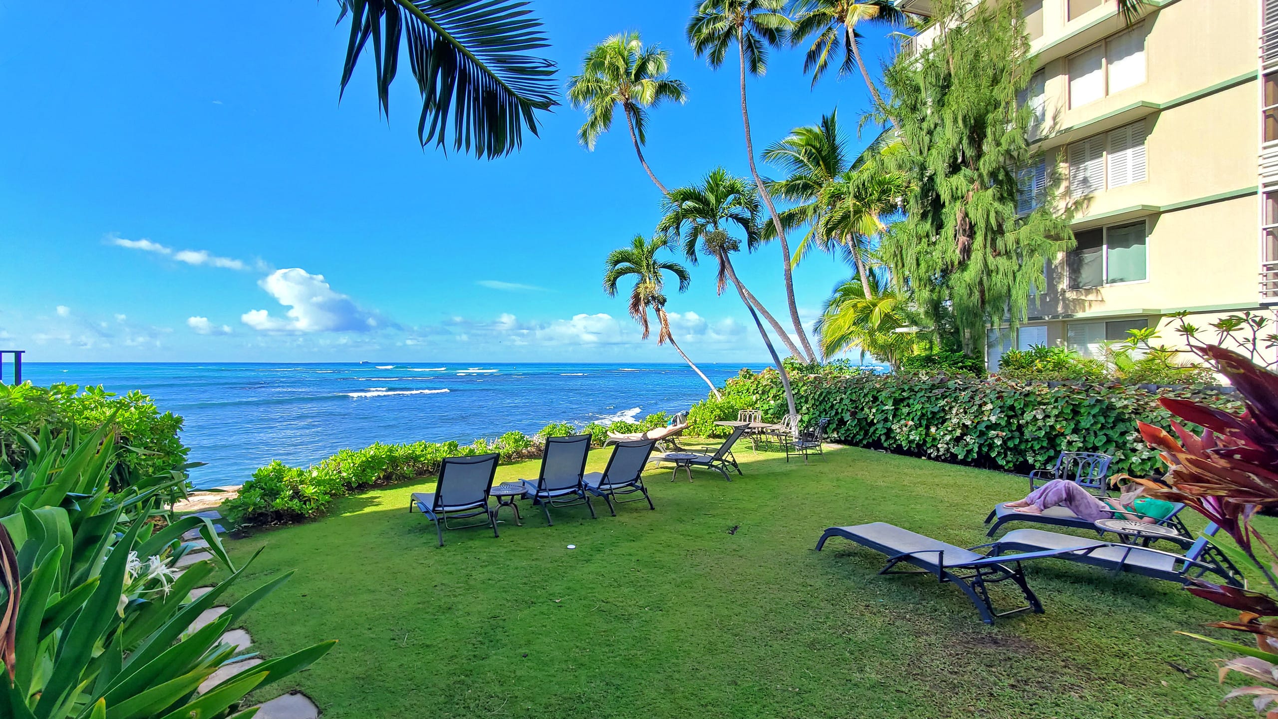 DHBH 902 Studio Apt, Full kitchen & Insane views! - Image 15
