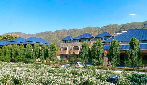 Luxury Villa at Resorts in Pushkar