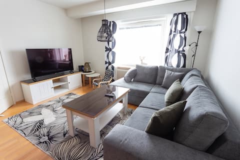 Successful Airbnb property: Cozy triangle in the center in Kainuu