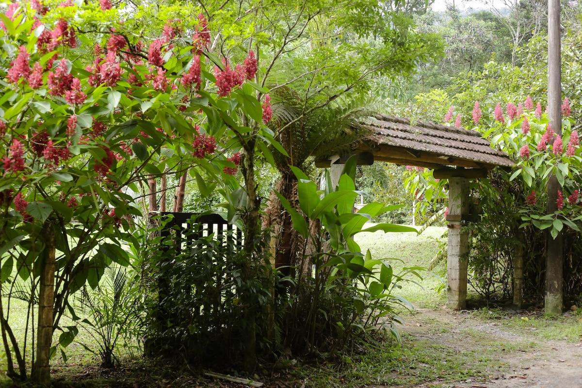 A rustic entrance is framed by lush greenery and vibrant pink flowers. The path gently winds through the inviting landscape, leading towards a serene garden space. Natural elements create a peaceful and welcoming entryway to the property.