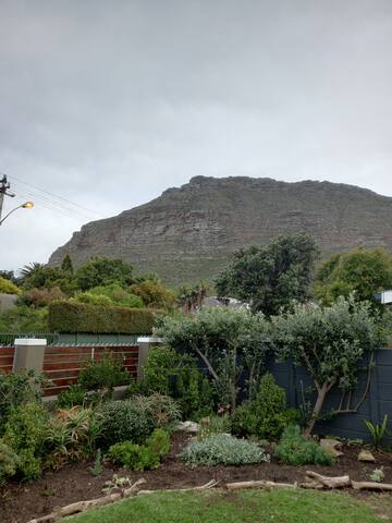 Lakeside: Under the Mountain by the Vlei. gallery image 2