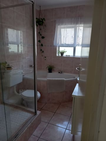 Lakeside: Under the Mountain by the Vlei. gallery image 3