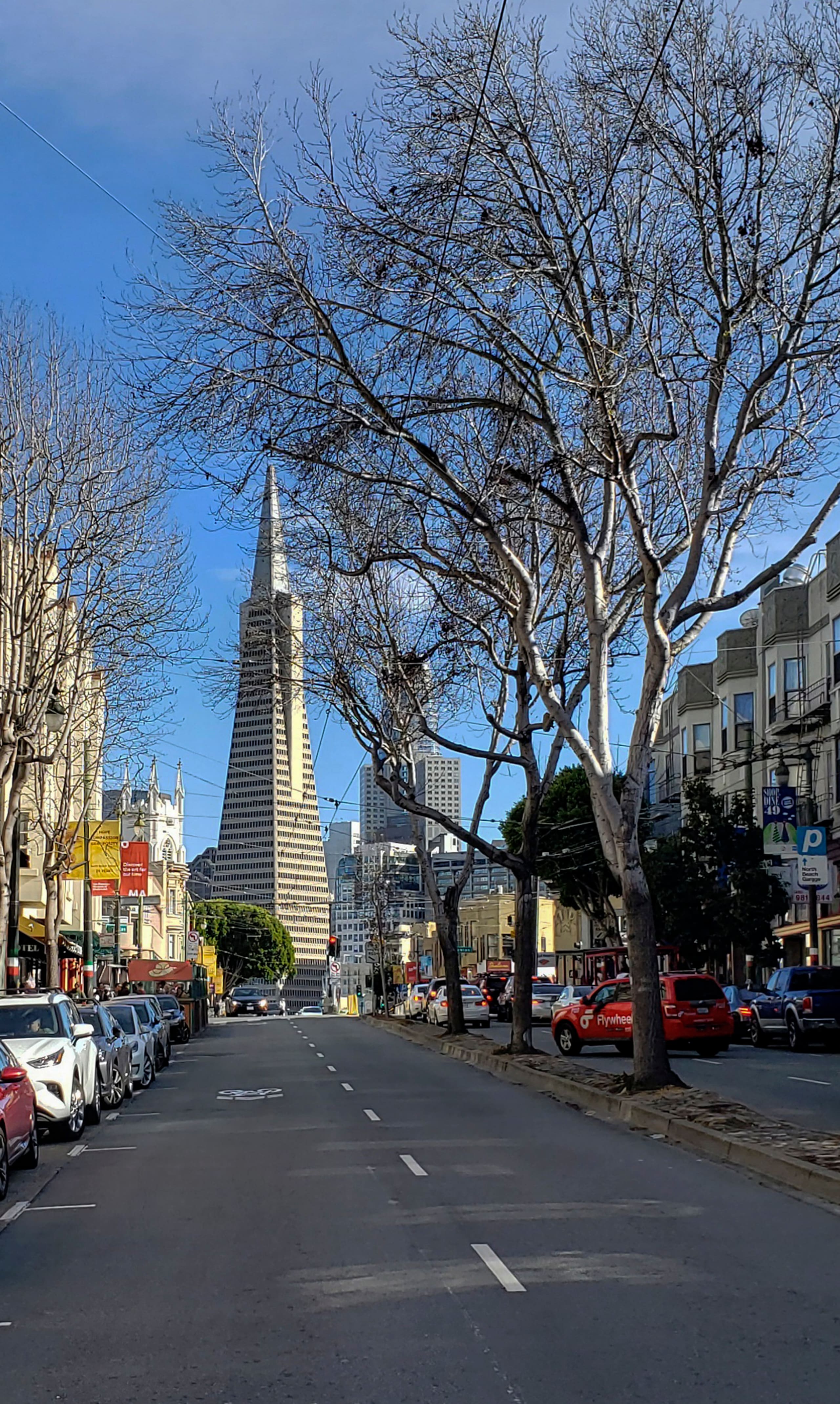 Home in San Francisco · ★4.88 · 3 bedrooms · 3 beds · 2 baths - Image 44