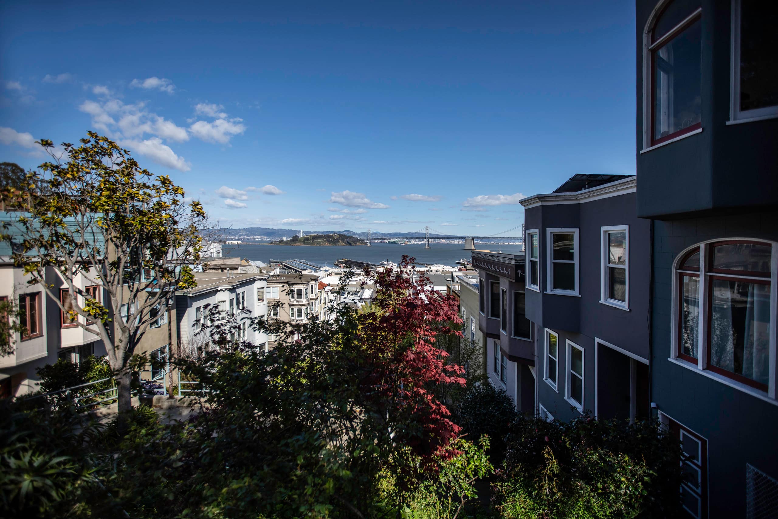 Home in San Francisco · ★4.88 · 3 bedrooms · 3 beds · 2 baths - Image 43