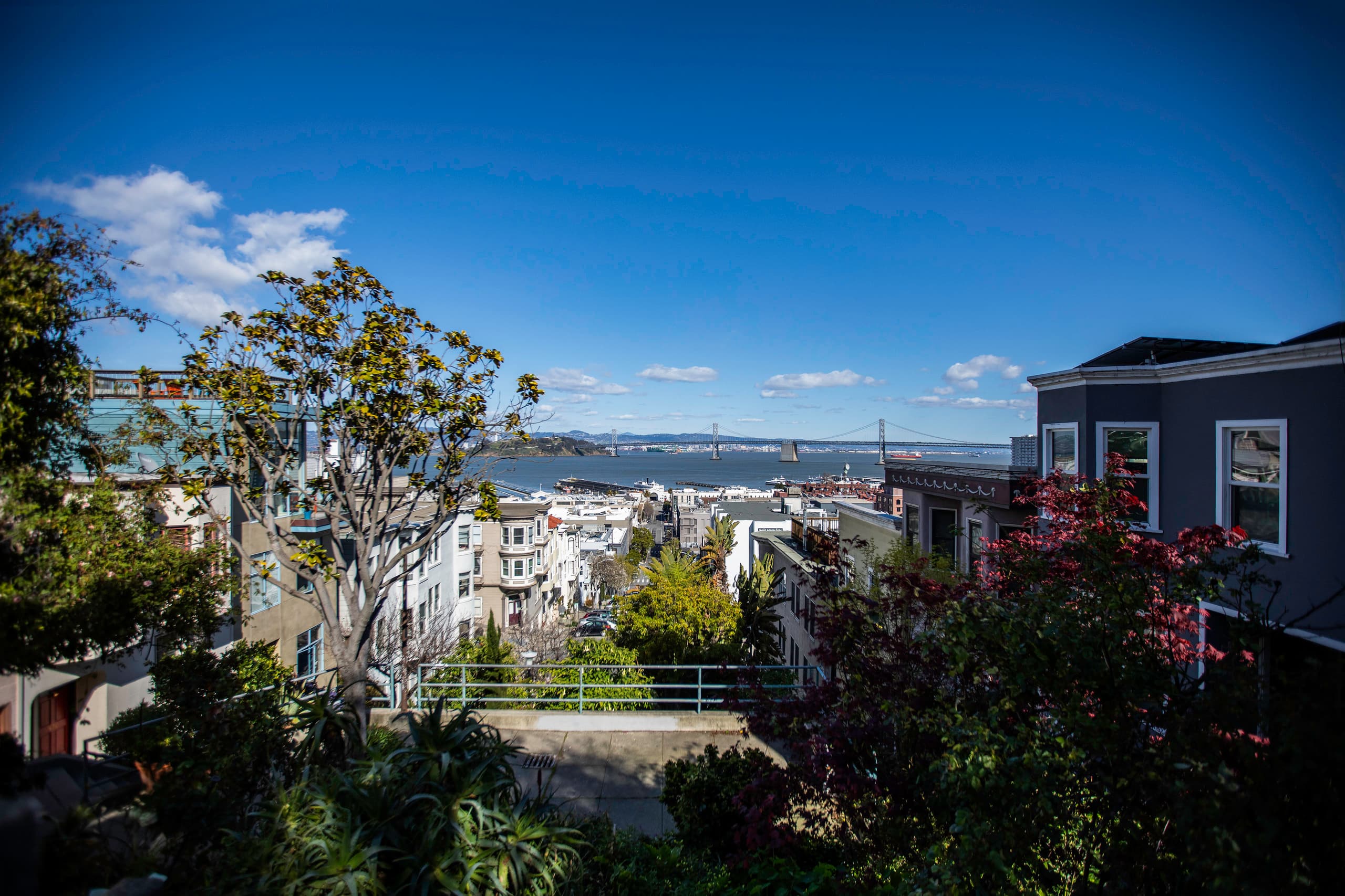 Home in San Francisco · ★4.88 · 3 bedrooms · 3 beds · 2 baths - Image 42