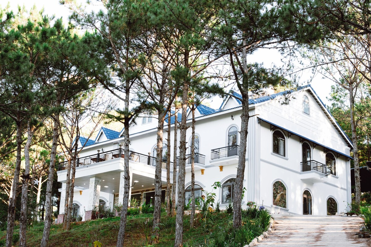 A modern building with white walls and a blue roof is surrounded by tall pine trees. A spacious veranda with balconies overlooks the lush greenery. A well-maintained pathway leads to the entrance, inviting guests to explore the tranquil setting.