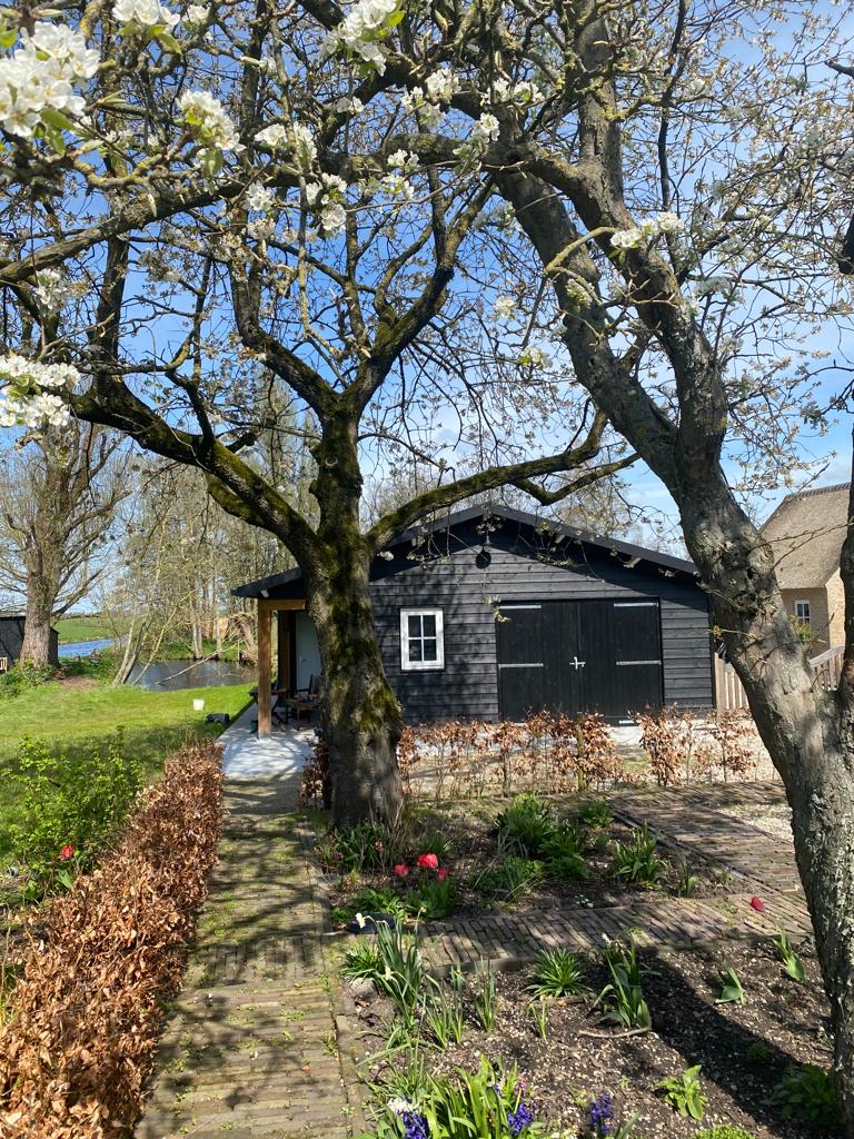 A rustic structure is framed by blossoming trees, with a pathway leading to its entrance. The well-maintained garden features colorful flowers, enhancing the serene outdoor setting. Bright blue skies complement the peaceful ambiance of the surrounding greenery.