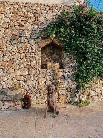 Luxury villa in pietra naturale gallery image 3